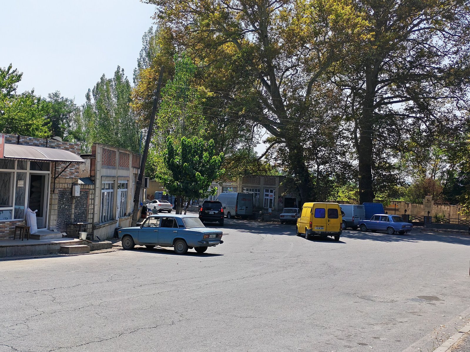 Nic qəsəbəsinin mərkəzində küçə və böyük ağaclar, Qəbələ rayonu
